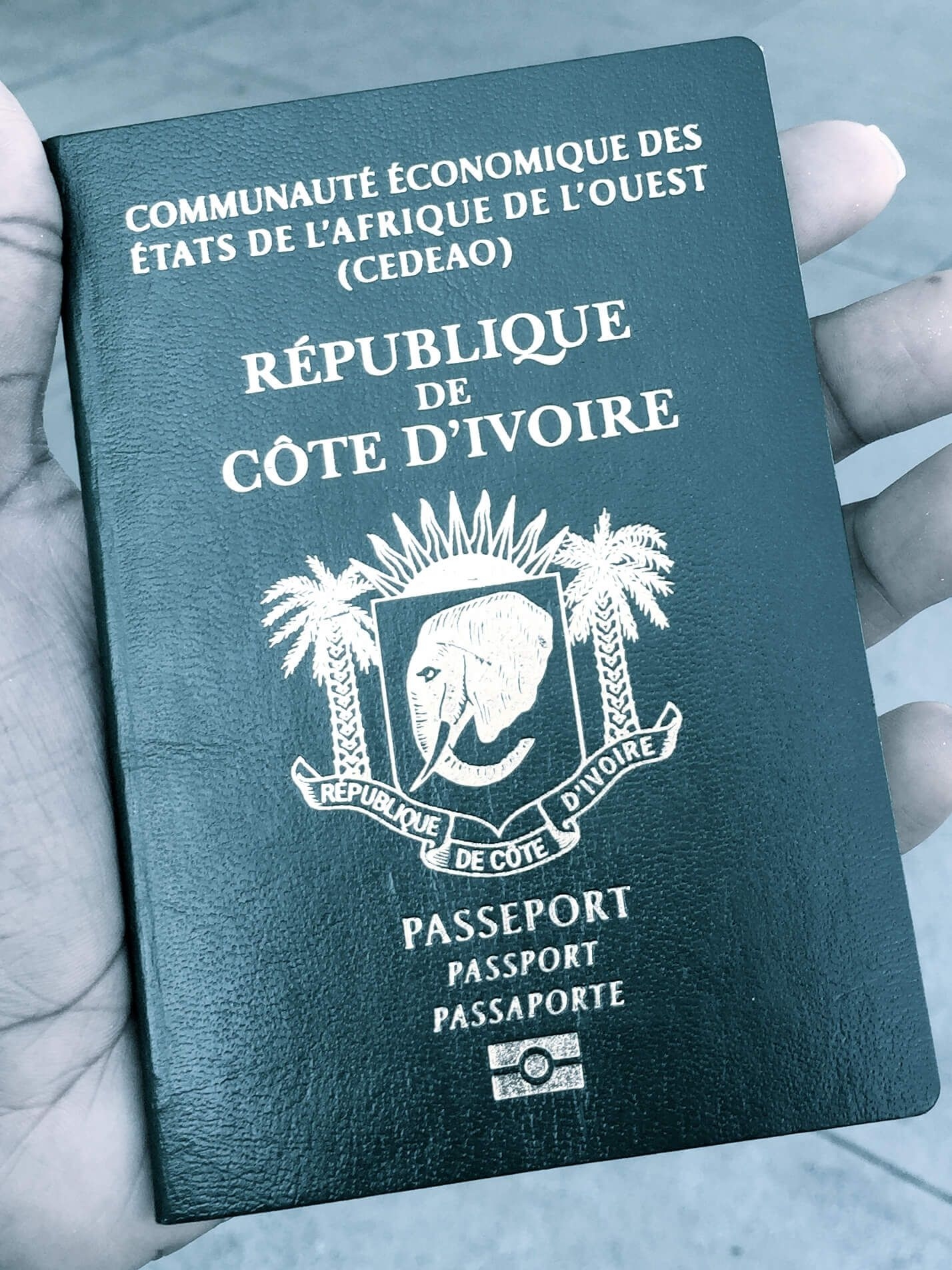 Vietnam Visa for the Ivory Coast.jpg